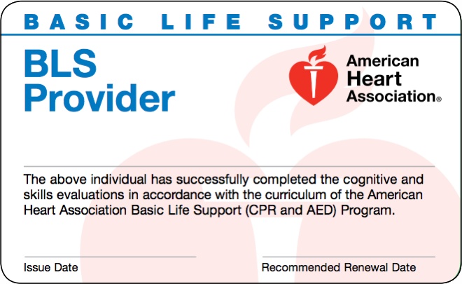 AHA Basic Life Support, Heartcode BLS + Skill Session 