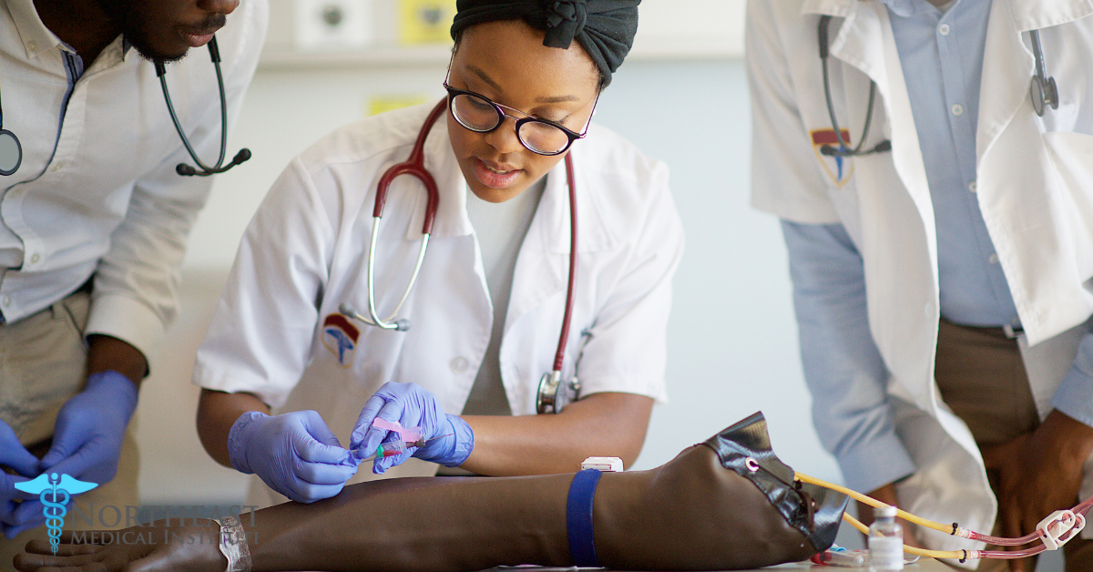 An Insider’s Guide to the Phlebotomy Course in Connecticut Everything