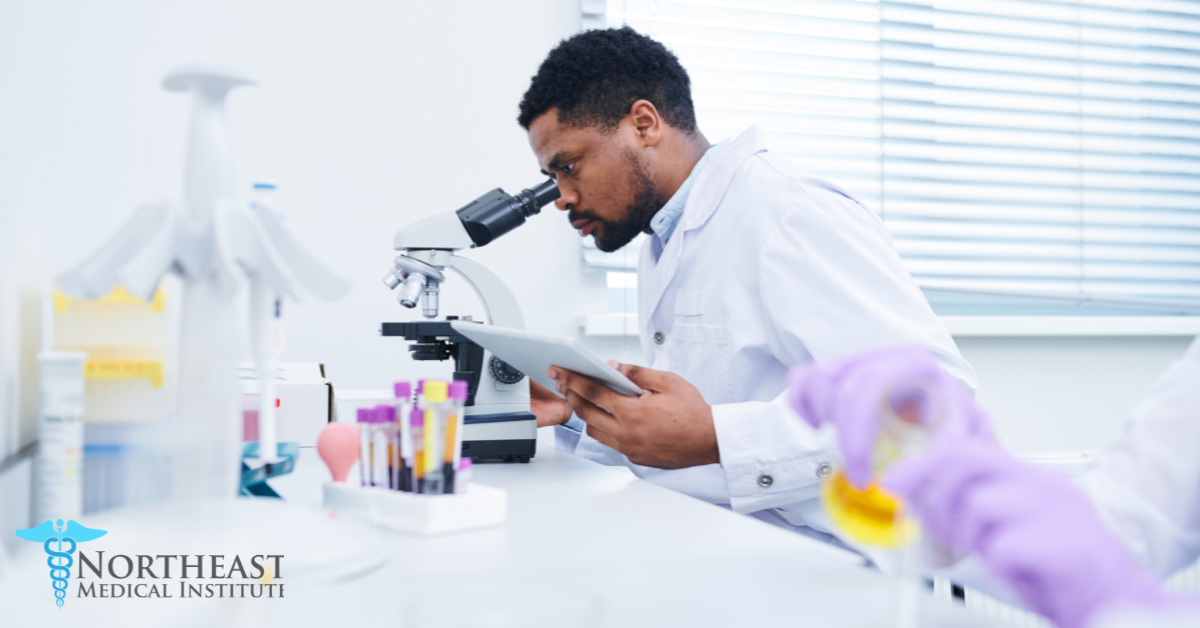 Which Medical Career is Right for You? A Phlebotomist vs. Medical Lab Technician