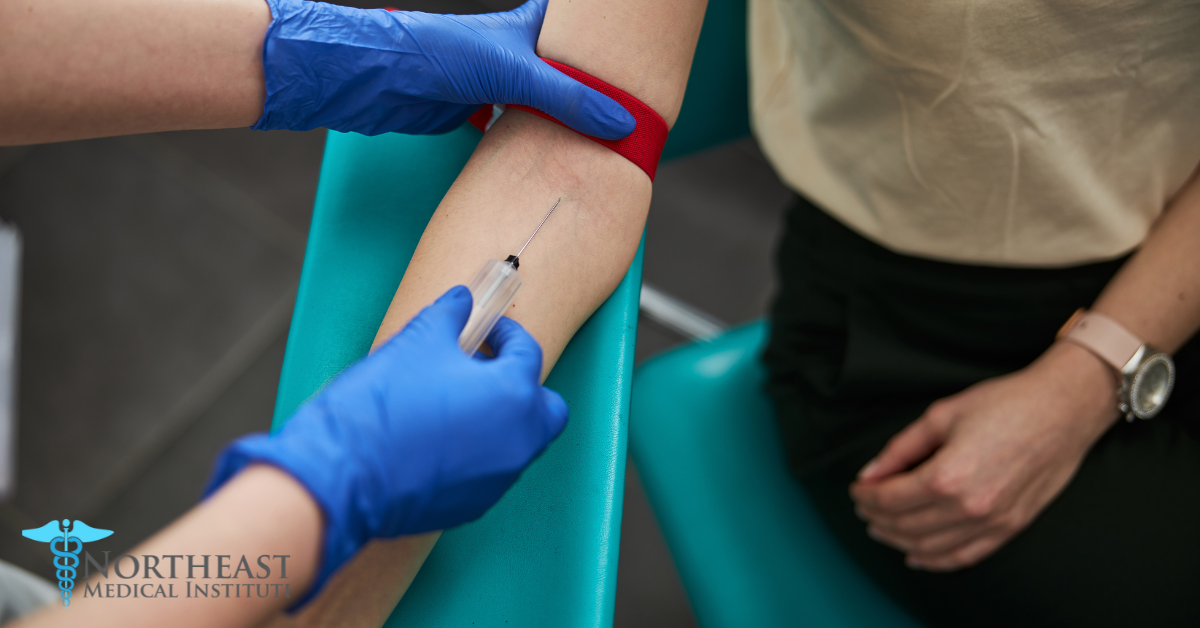 Free Phlebotomy Training Near Me