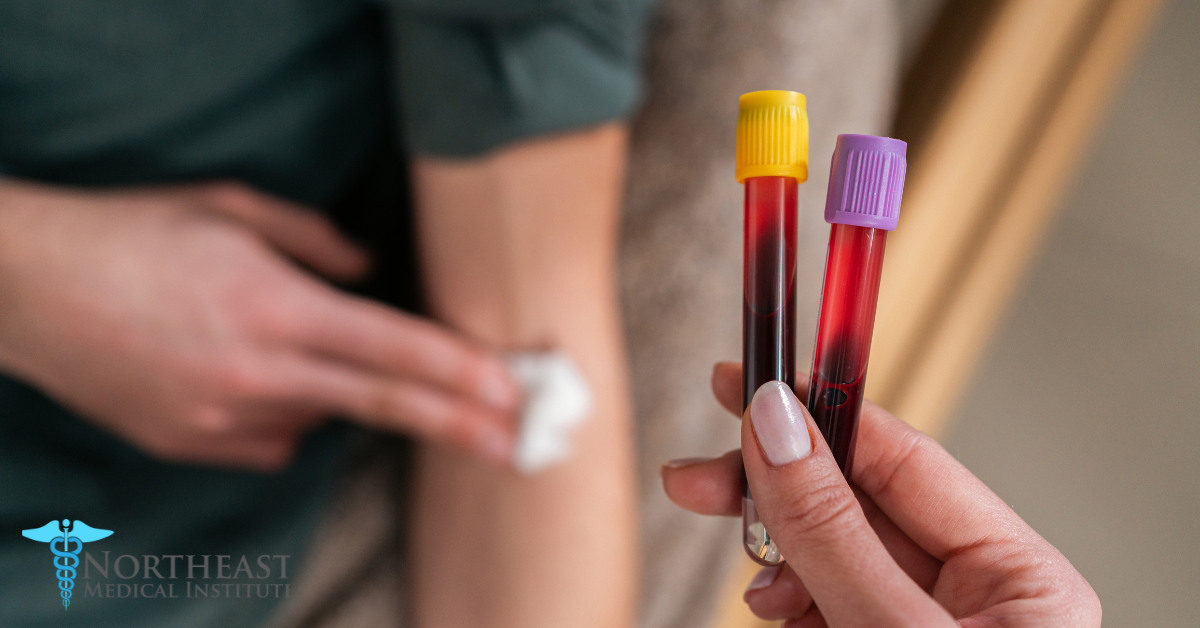 An image showing a phlebotomist drawing blood from a patient's arm, demonstrating the essential skills required for what is a phlebotomist.